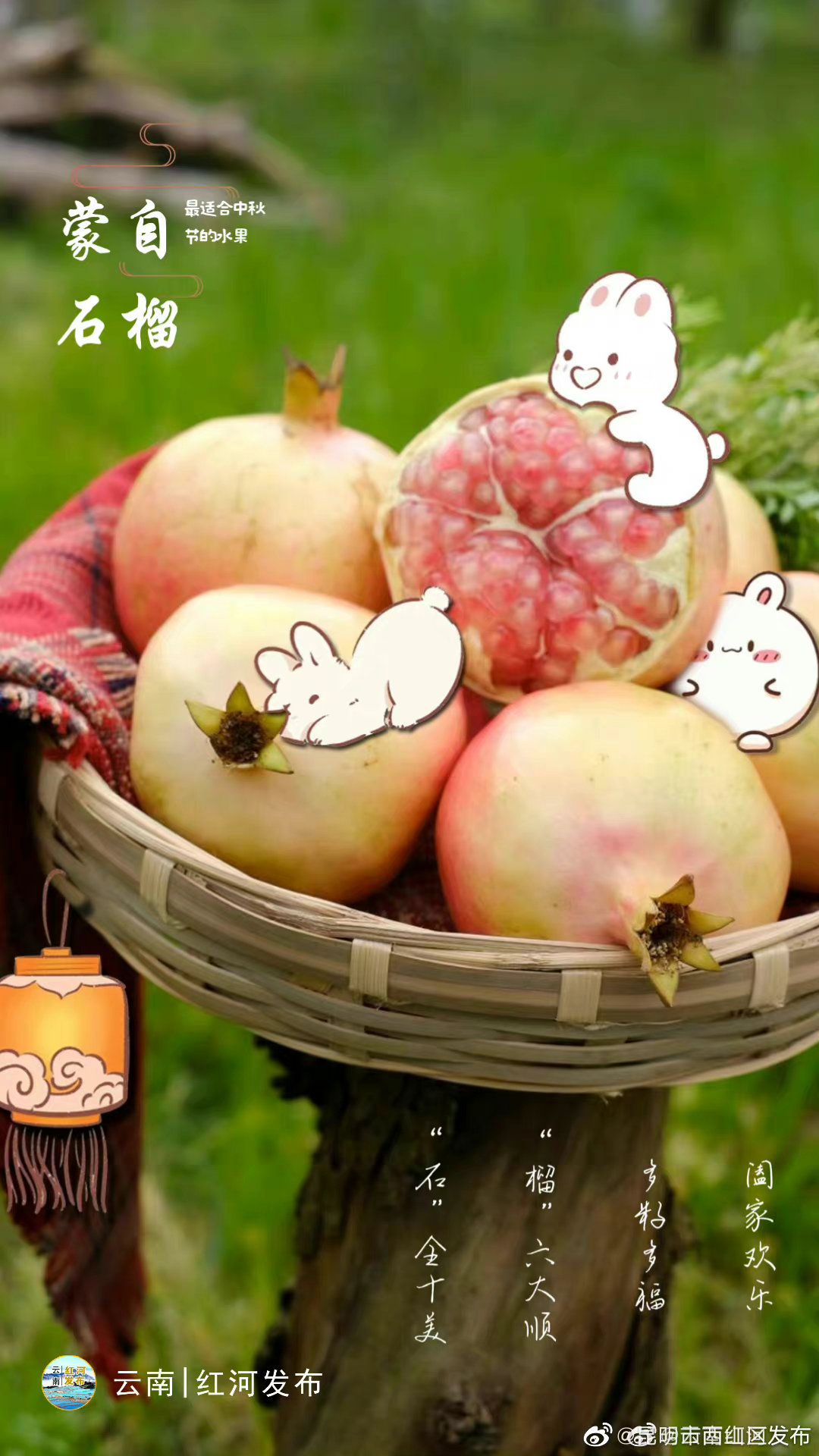 昆明市西山区发布