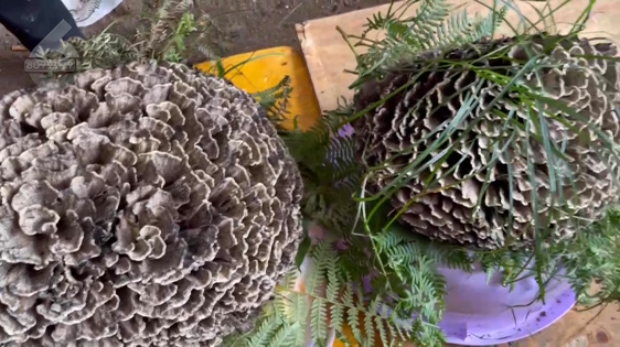 昆明信息港/cnkmxxg