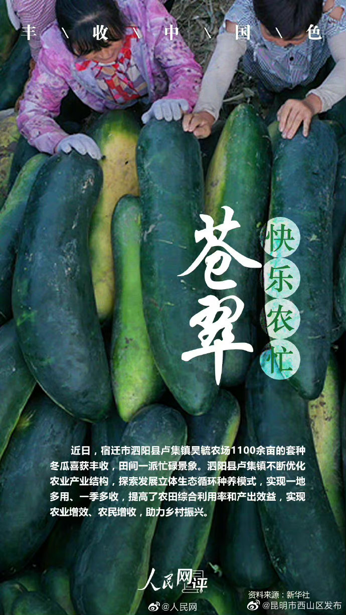 昆明市西山区发布