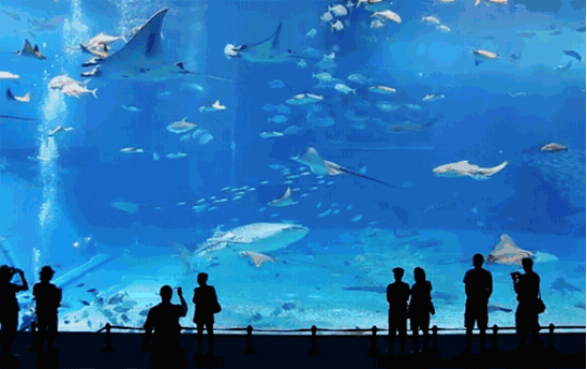 昆明文旅