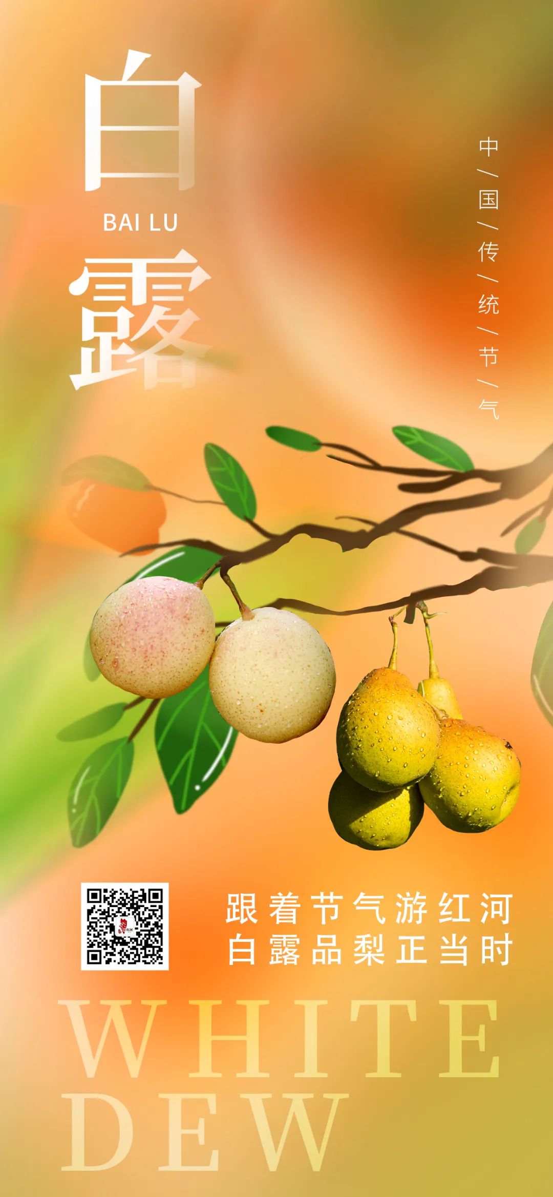 红河文旅