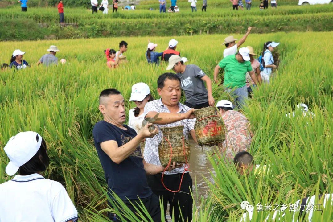 保山新闻网