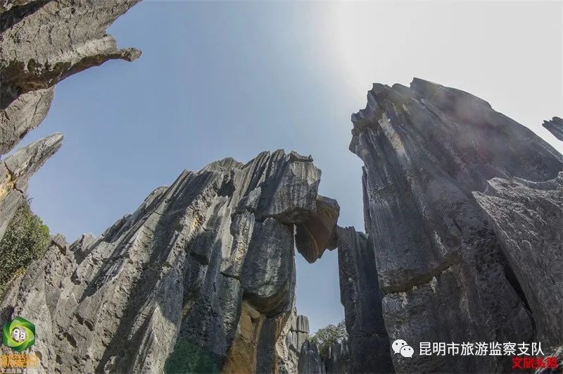 昆明市旅游监察支队