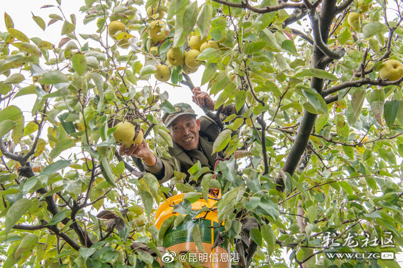 昆明信息港