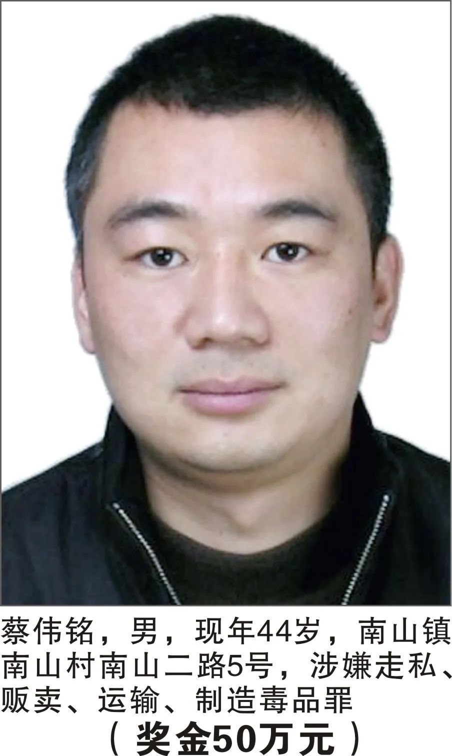 掌上春城