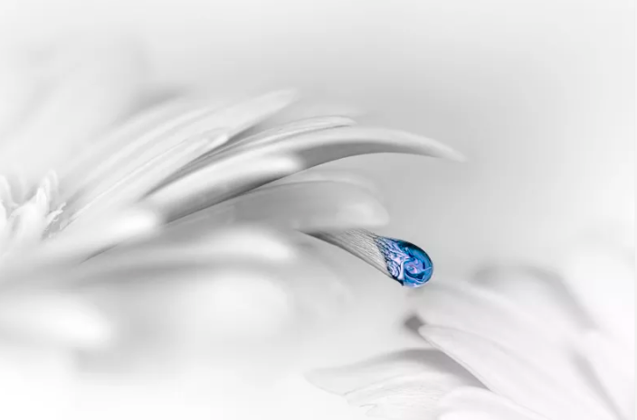 昆明公共文化云