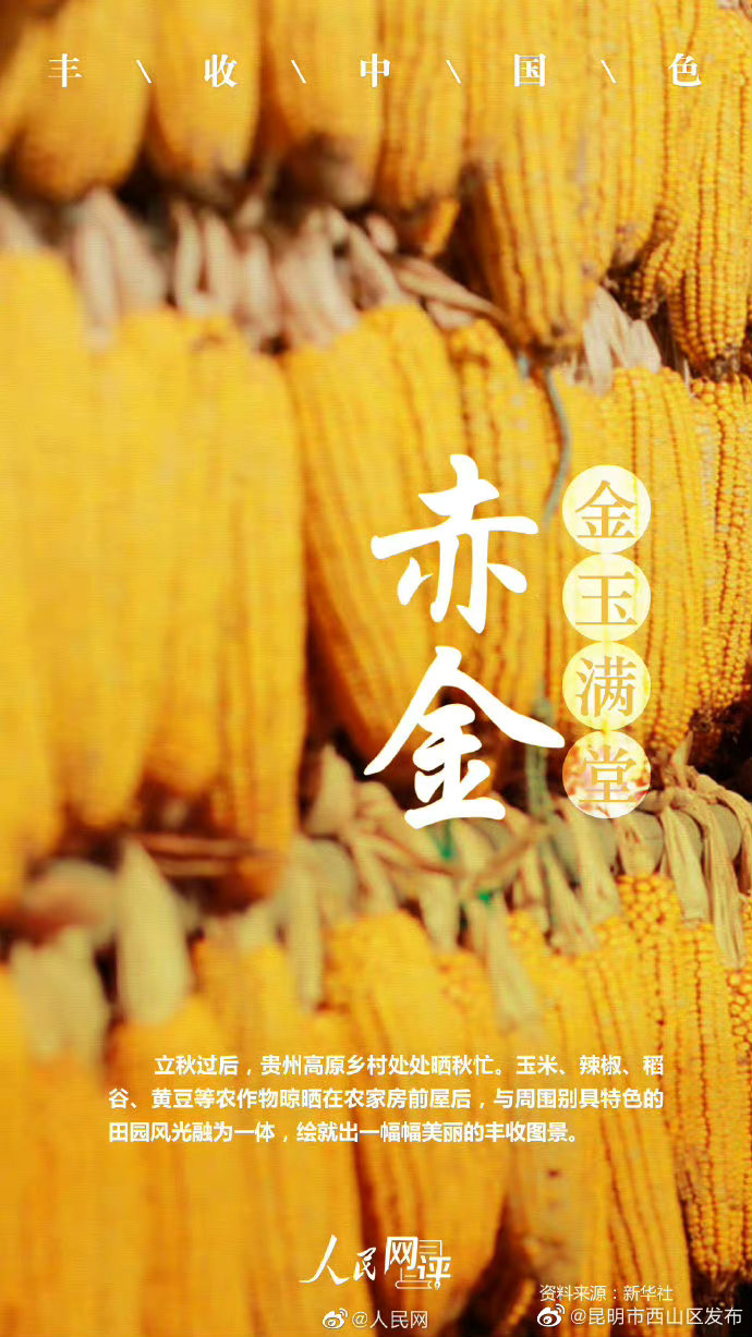 昆明市西山区发布