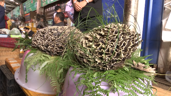 昆明信息港/cnkmxxg