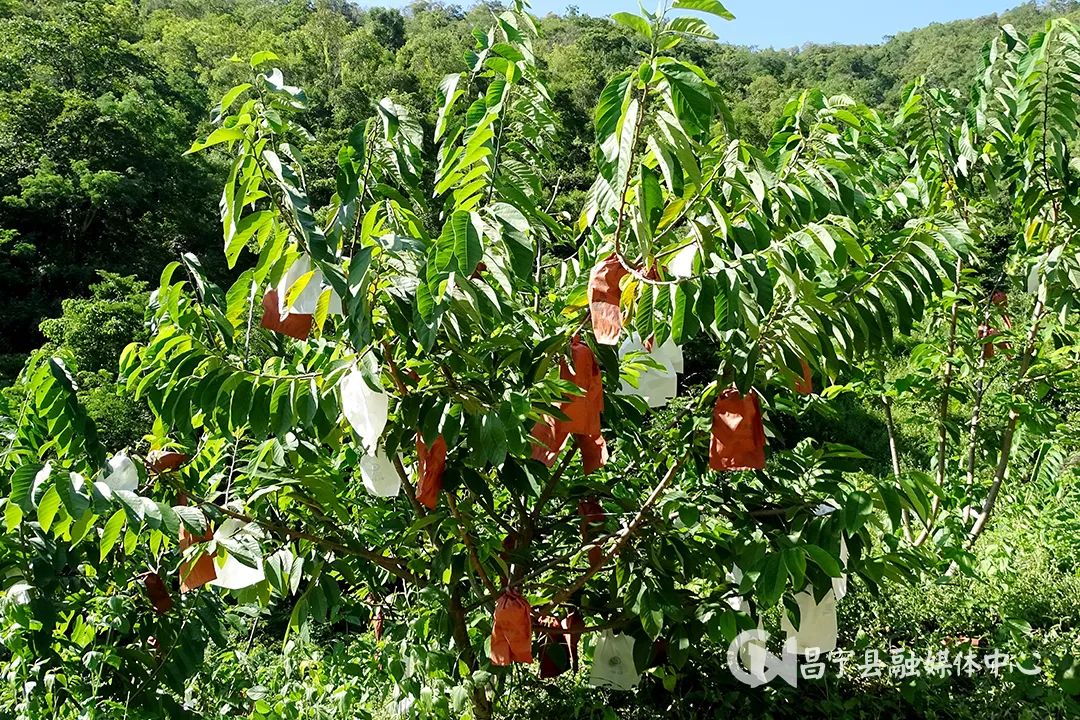 保山新闻网