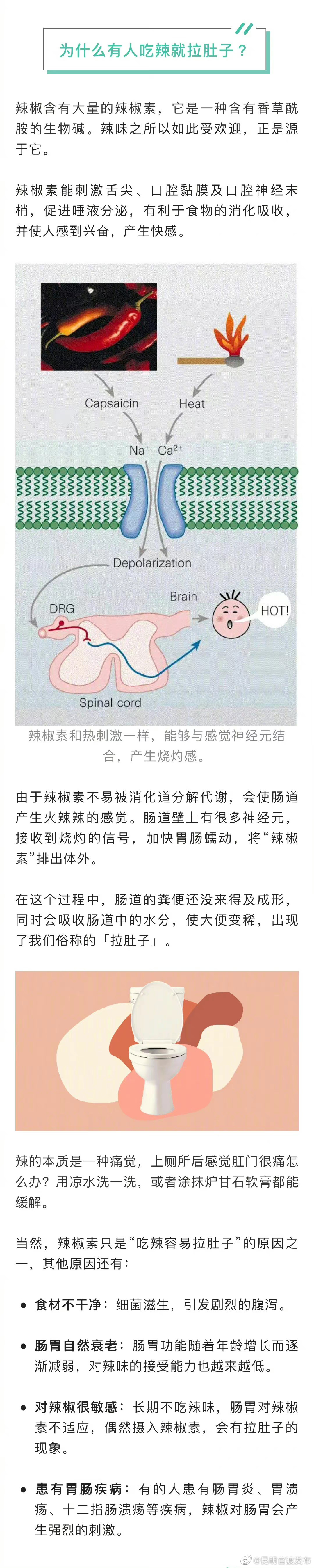 为什么吃辣后容易拉肚子？