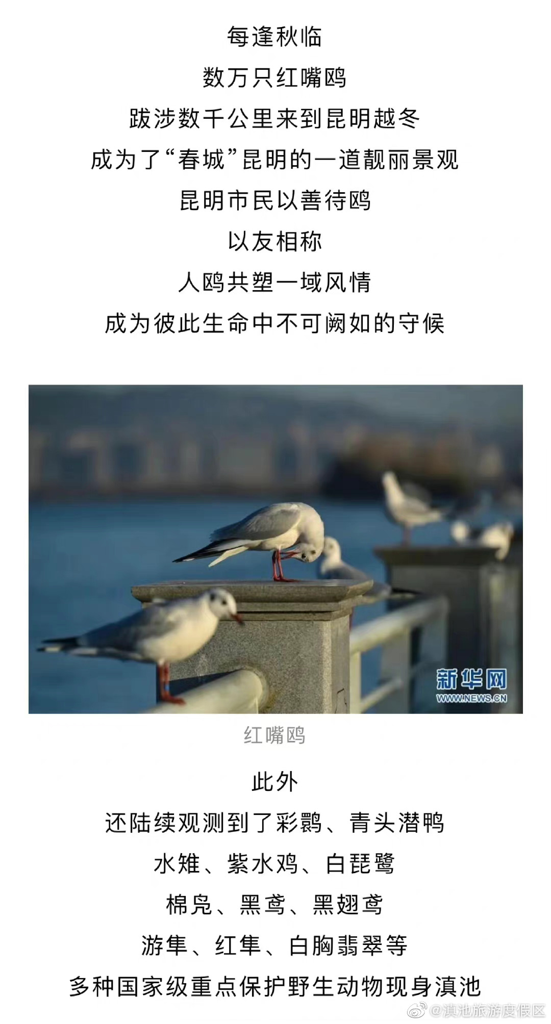 滇池旅游度假区