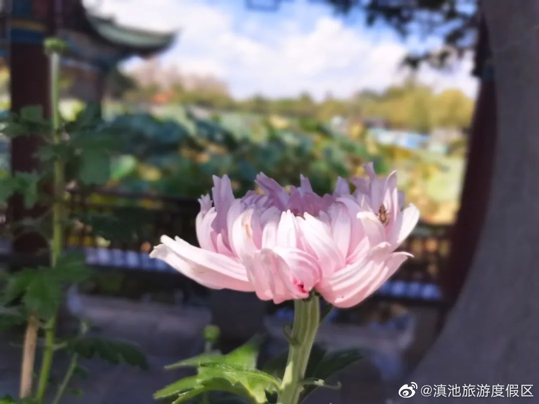 滇池旅游度假区