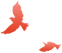 东川新闻