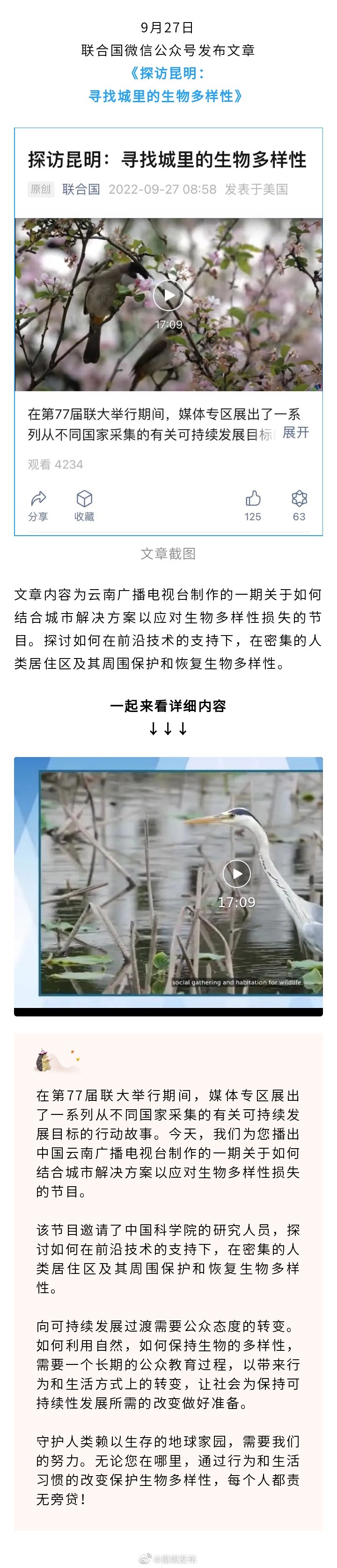 联合国聚焦昆明：寻找城里的生物多样性