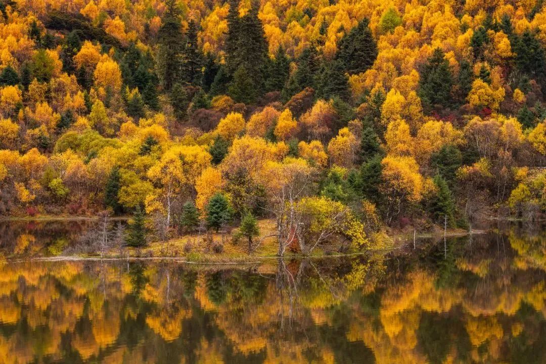 一部手机游云南