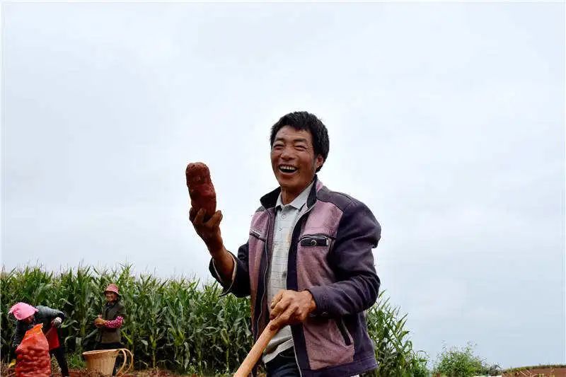 东川发布(微信)