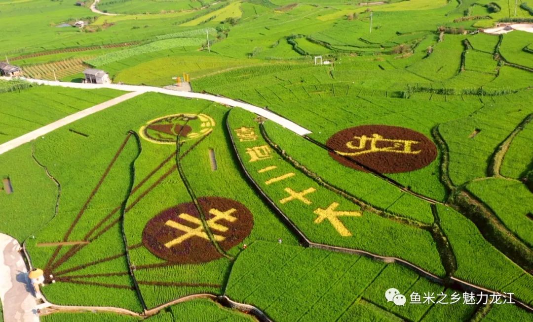 保山新闻网