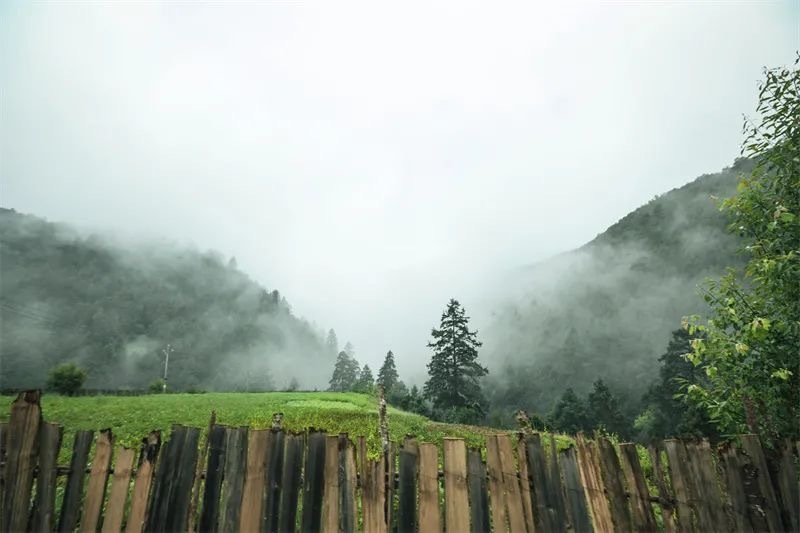 云南省文化和旅游厅