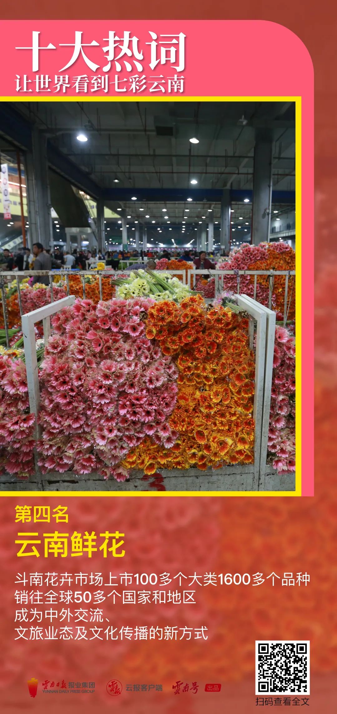 昆明公共文化云