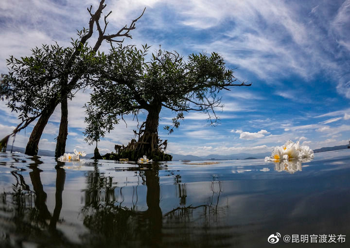 “昆明官渡发布”微博