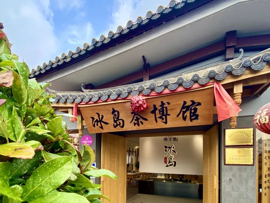 微观盘龙