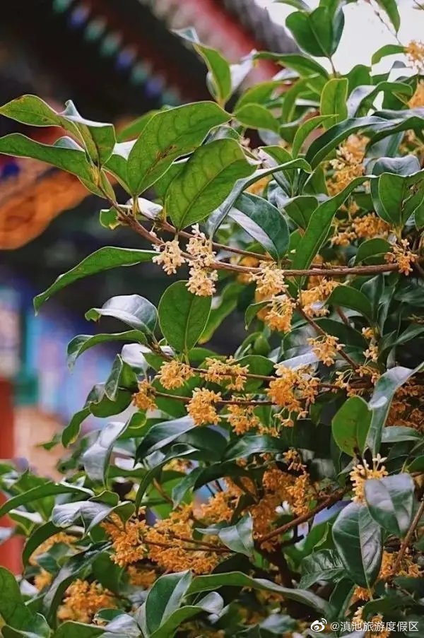 滇池旅游度假区