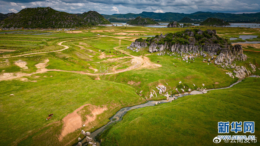 “云南发布”微博