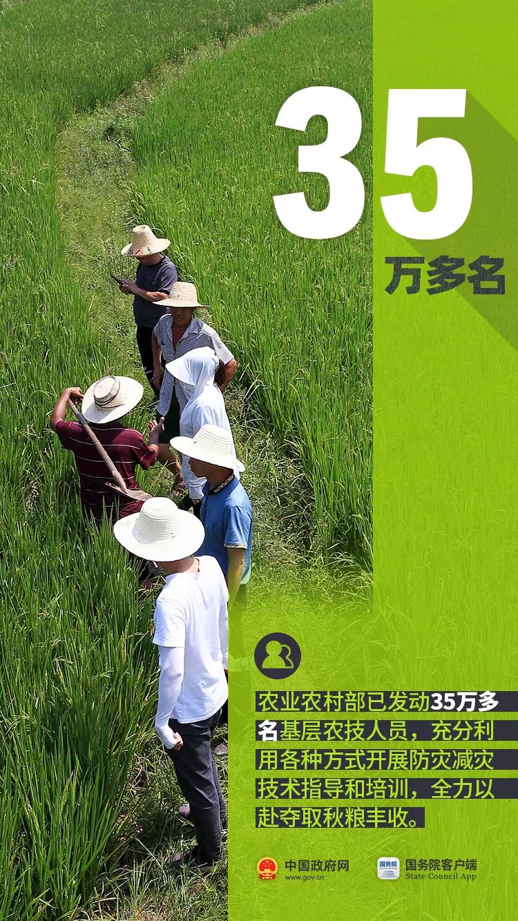 中华人民共和国中央人民政府