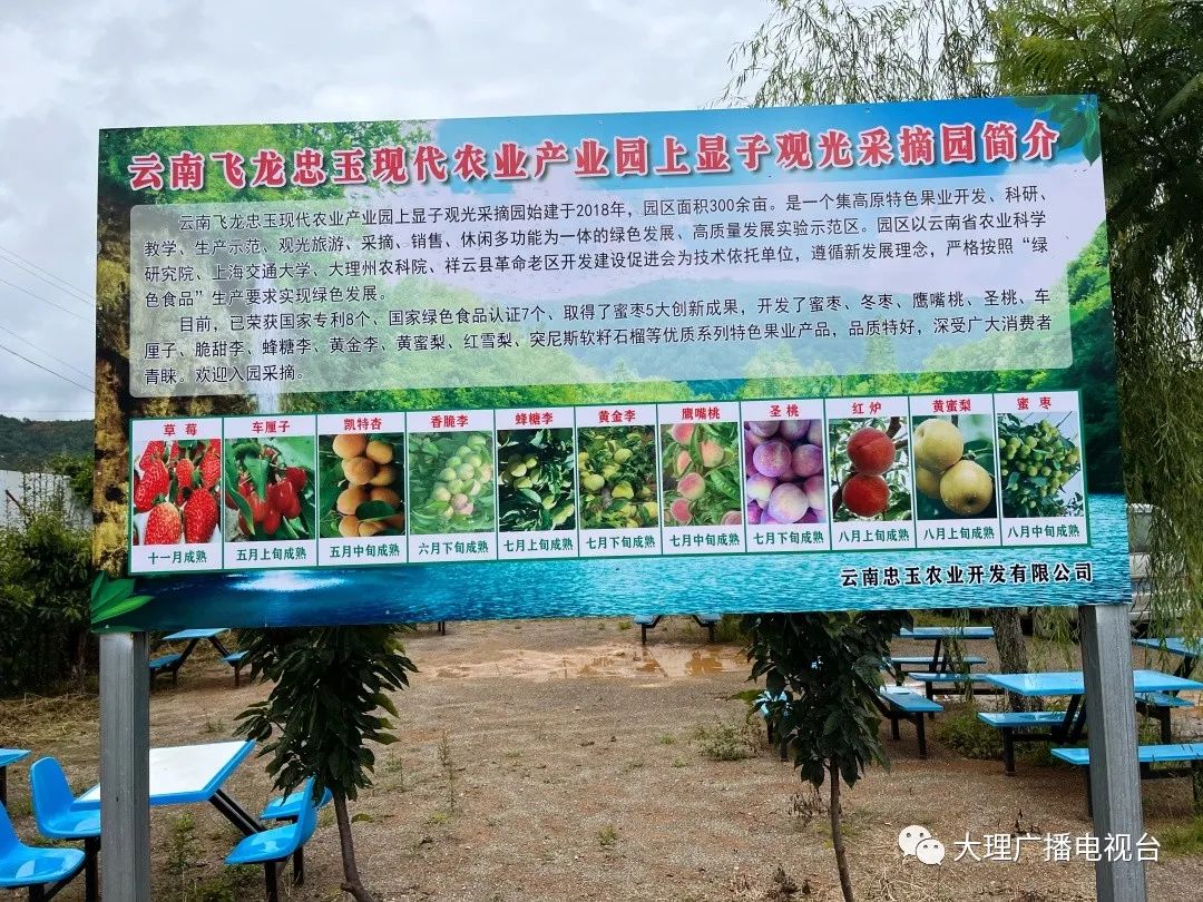 大理电视台