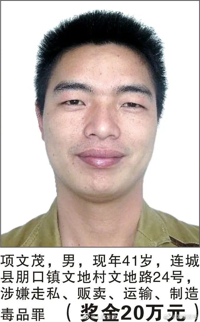 嵩明发布