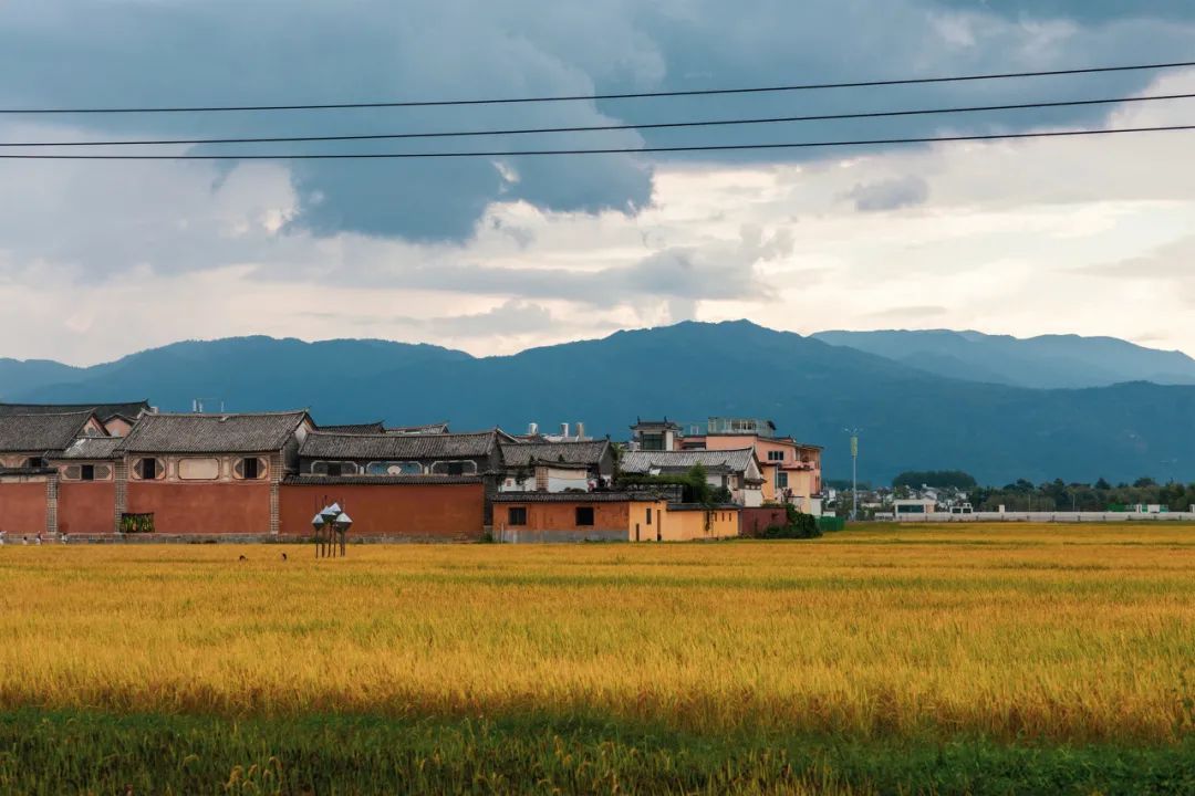 云南省文化和旅游厅