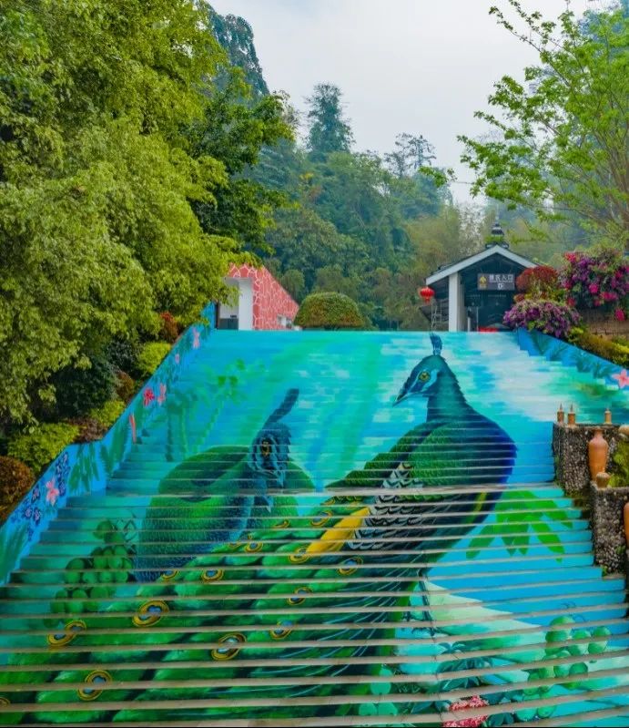 西双版纳望天树景区