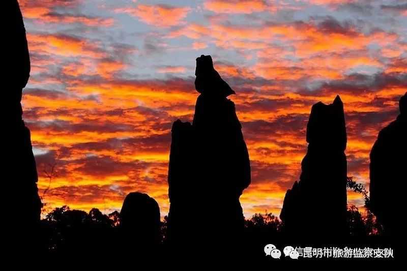 昆明市旅游监察支队