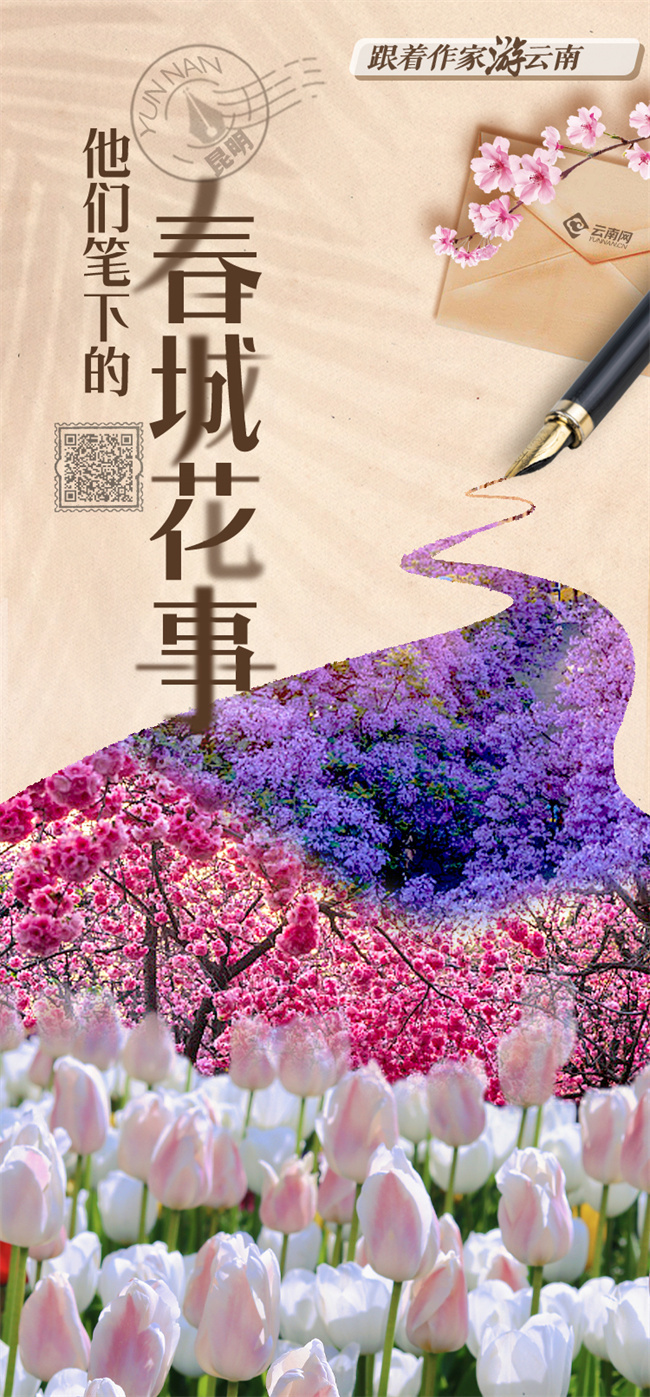 云南省文化和旅游厅