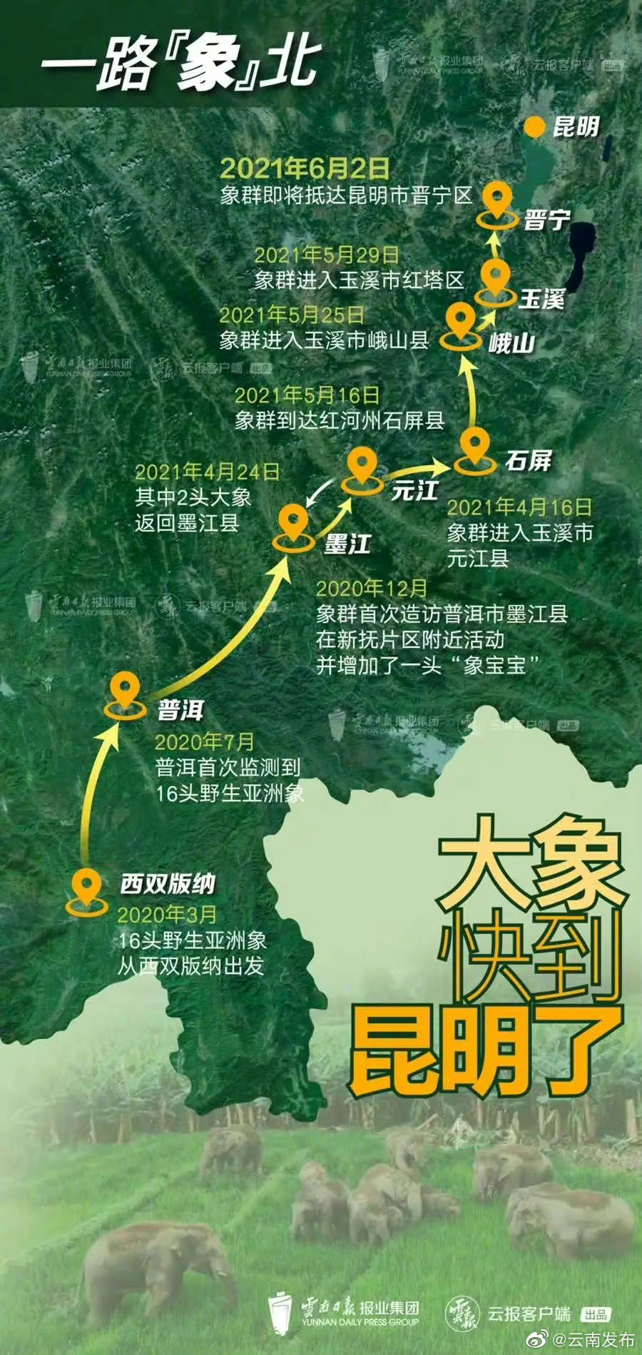 “云南发布”微博