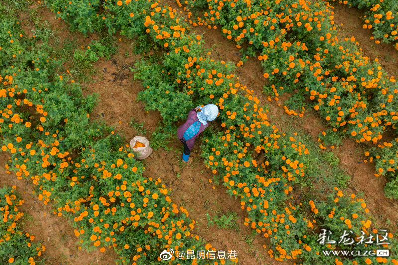 昆明信息港