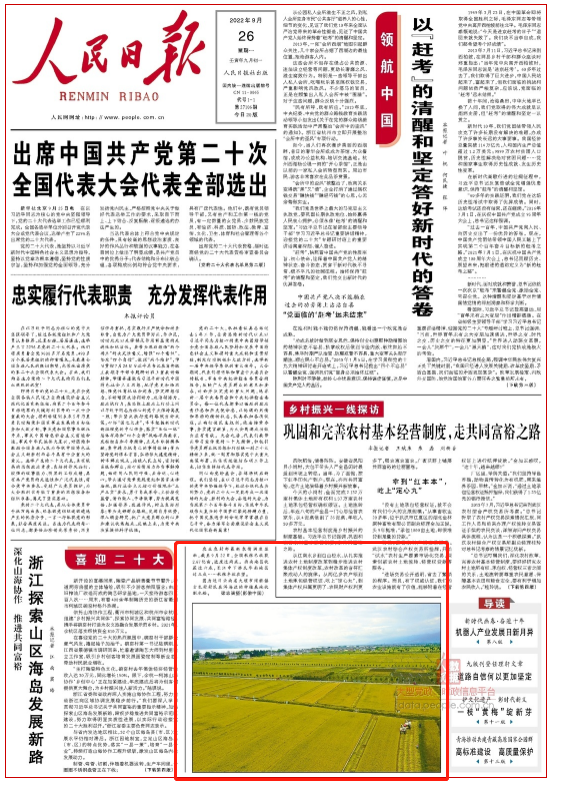 大理日报