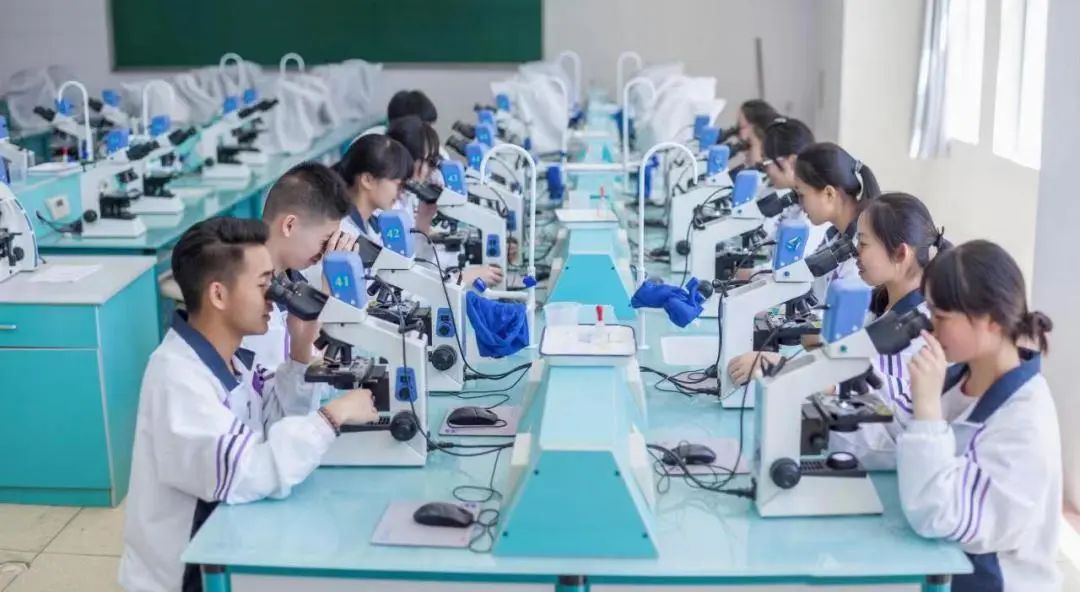 呈贡发布