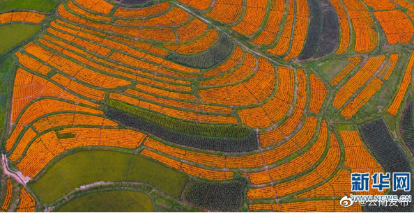 “云南发布”微博