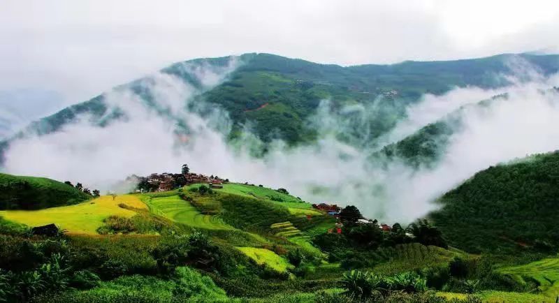 云南省文化和旅游厅