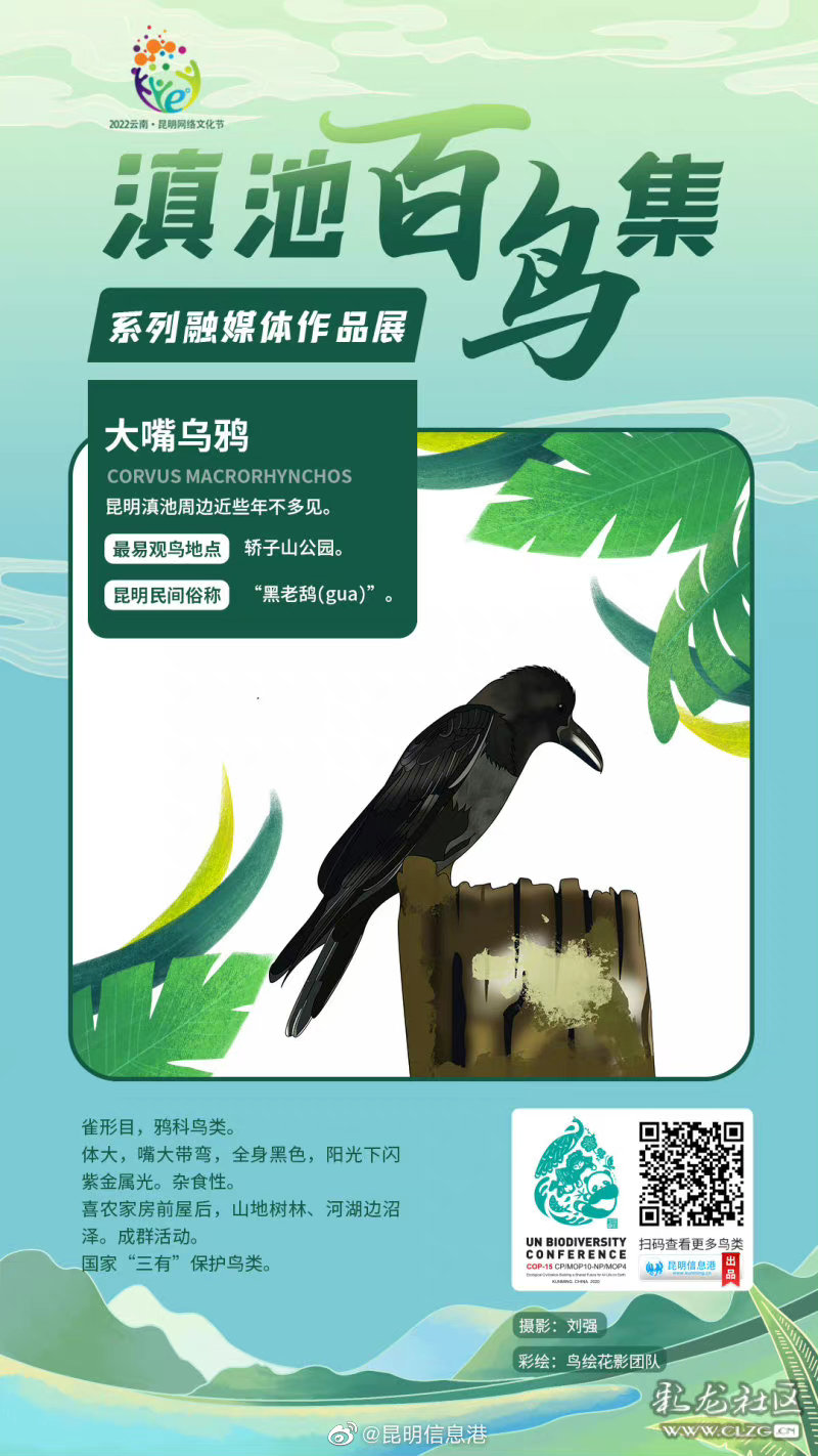昆明信息港