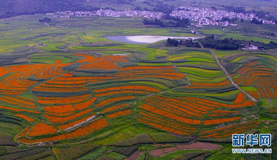 云南省文化和旅游厅
