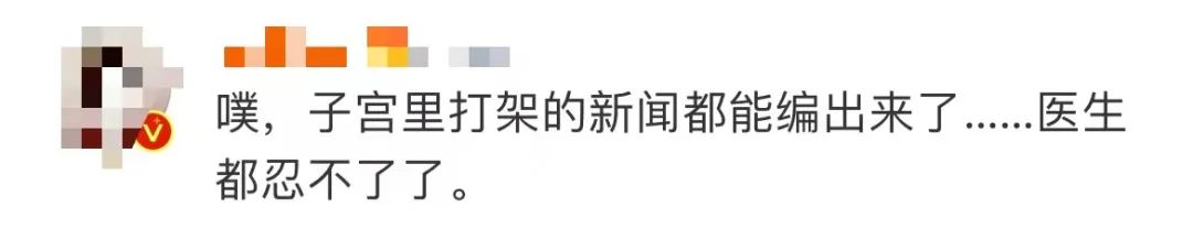 掌上春城