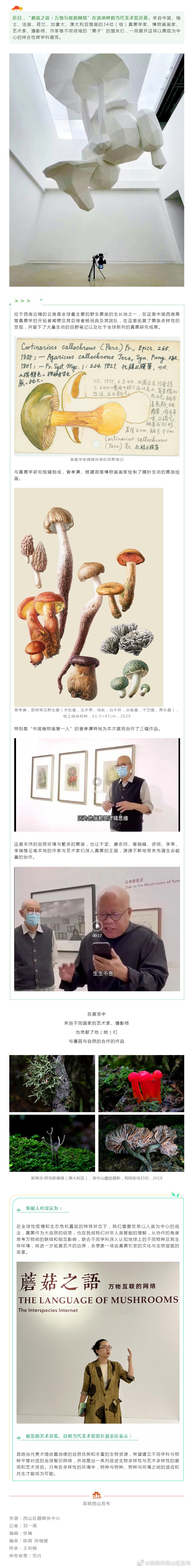 来昆明当代美术馆，看一场季节限定的“菌子”展