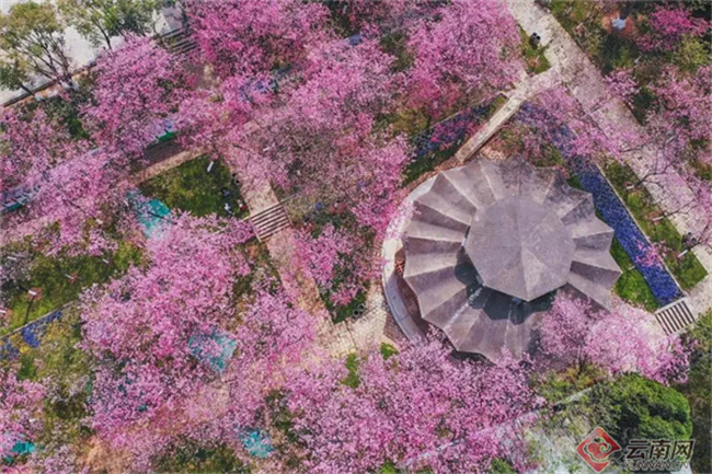 云南省文化和旅游厅