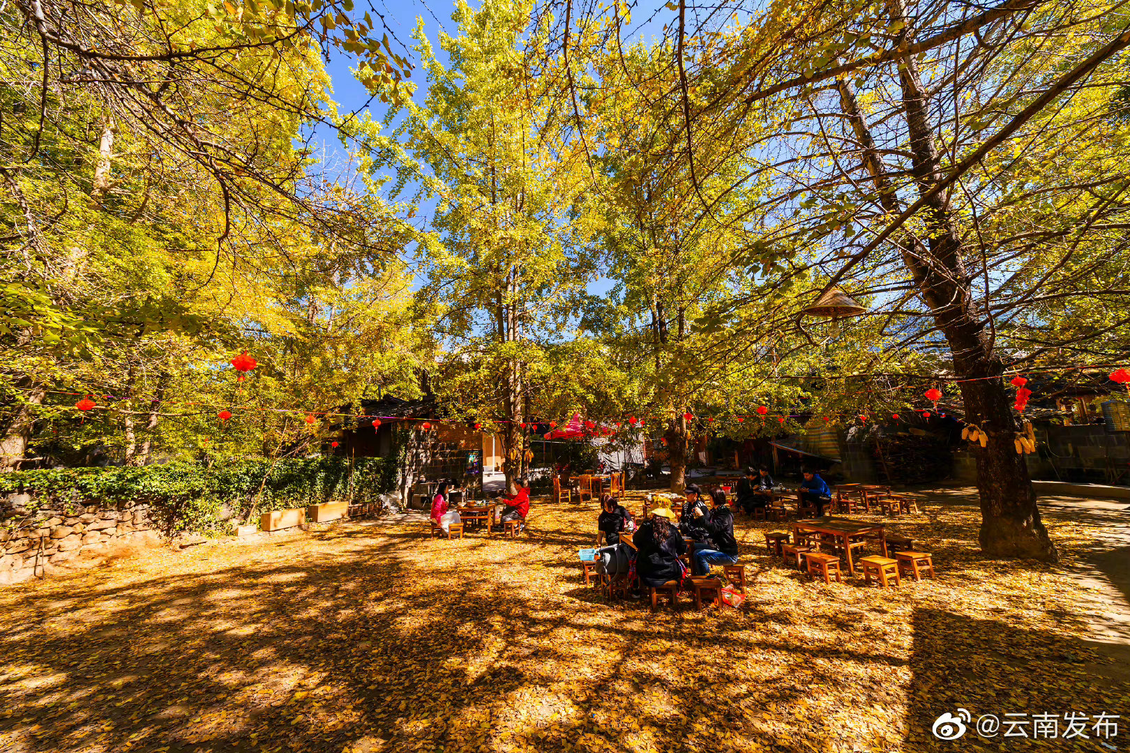 云南减税降费15亿元助力文旅业轻装前行