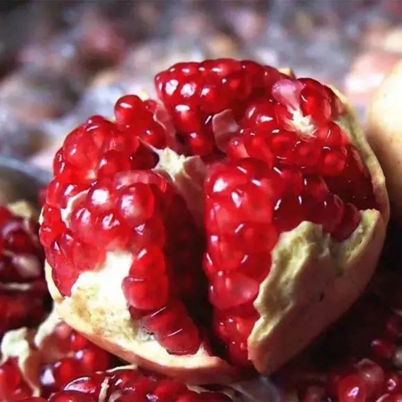 一部手机游云南