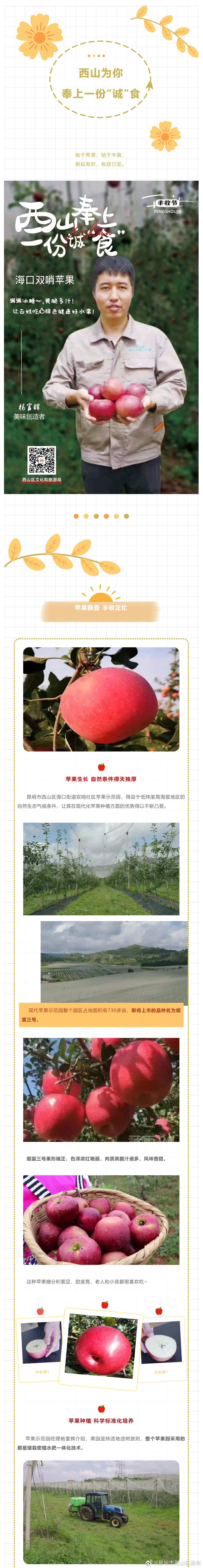 昆明市西山区发布