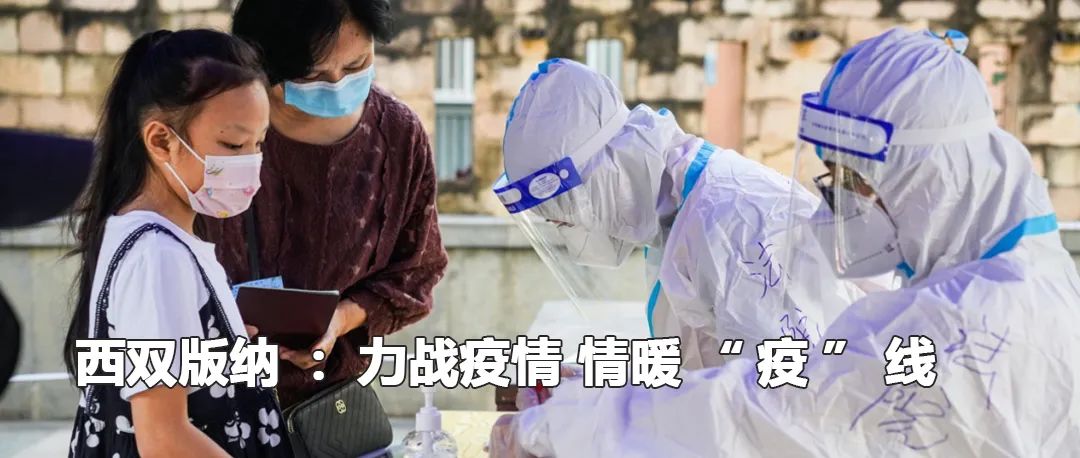 云南政法