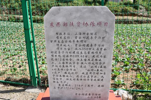 东川发布(微信)